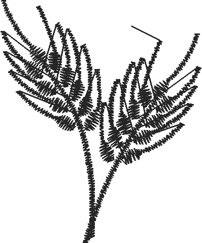 Wheat 2