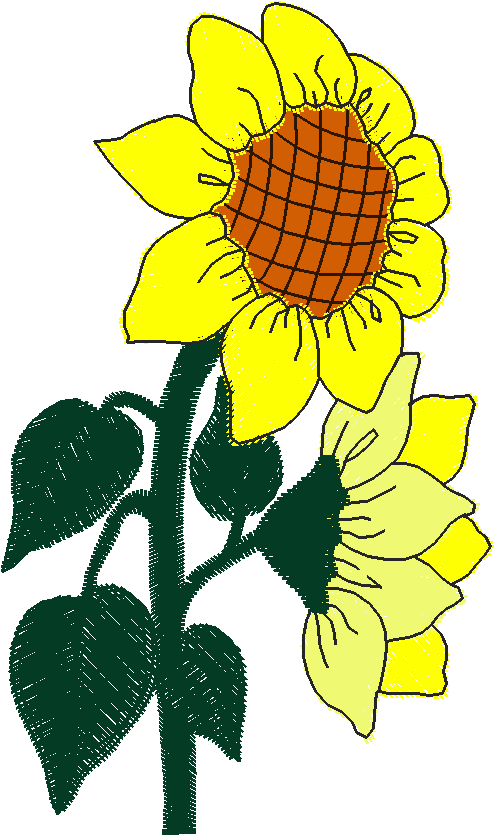 Farms & Gardens 3 (21)