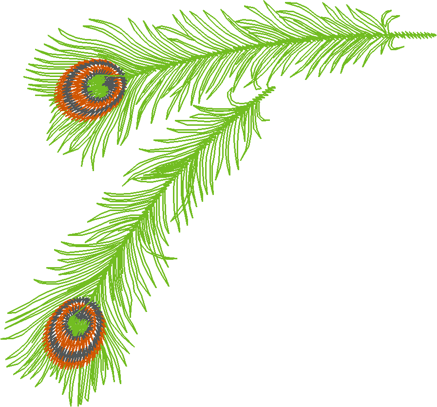 Feathers