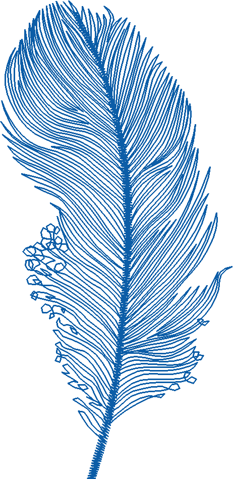 Feather1