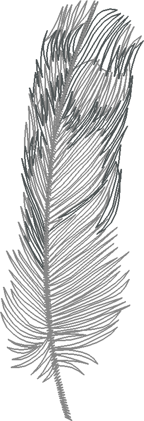 Feather4