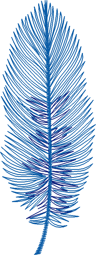 Feather5