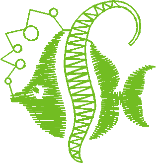 Fish 2  (6)