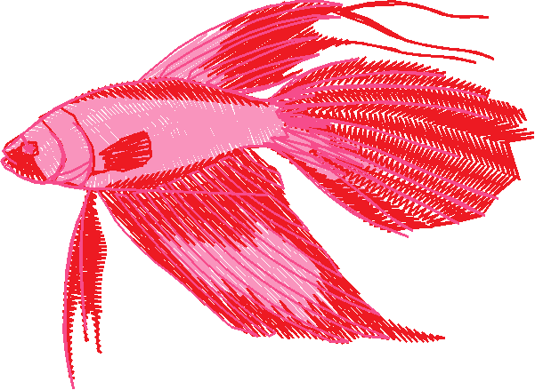 Fish 3  (1)