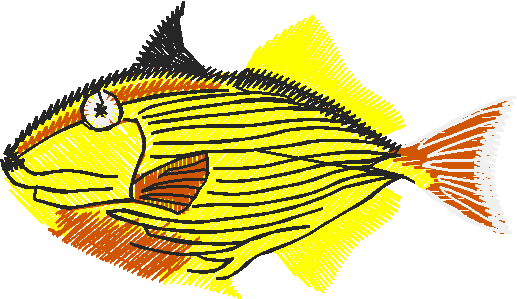 Fish 3  (10)