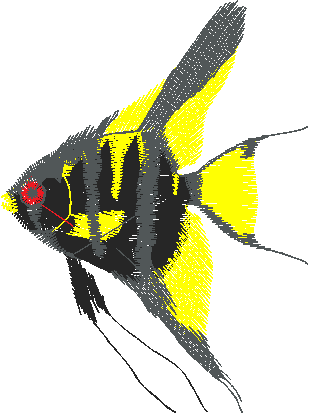 Fish 3  (11)