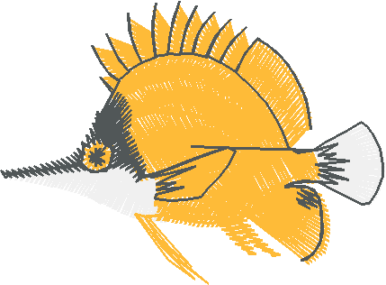 Fish 3  (12)