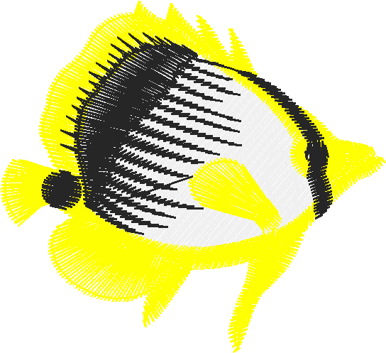 Fish 3  (5)