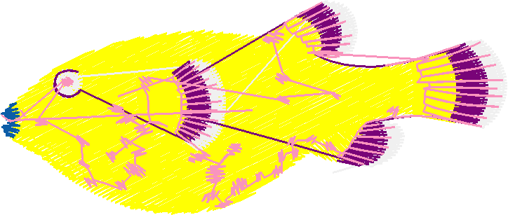 Fish 3  (9)