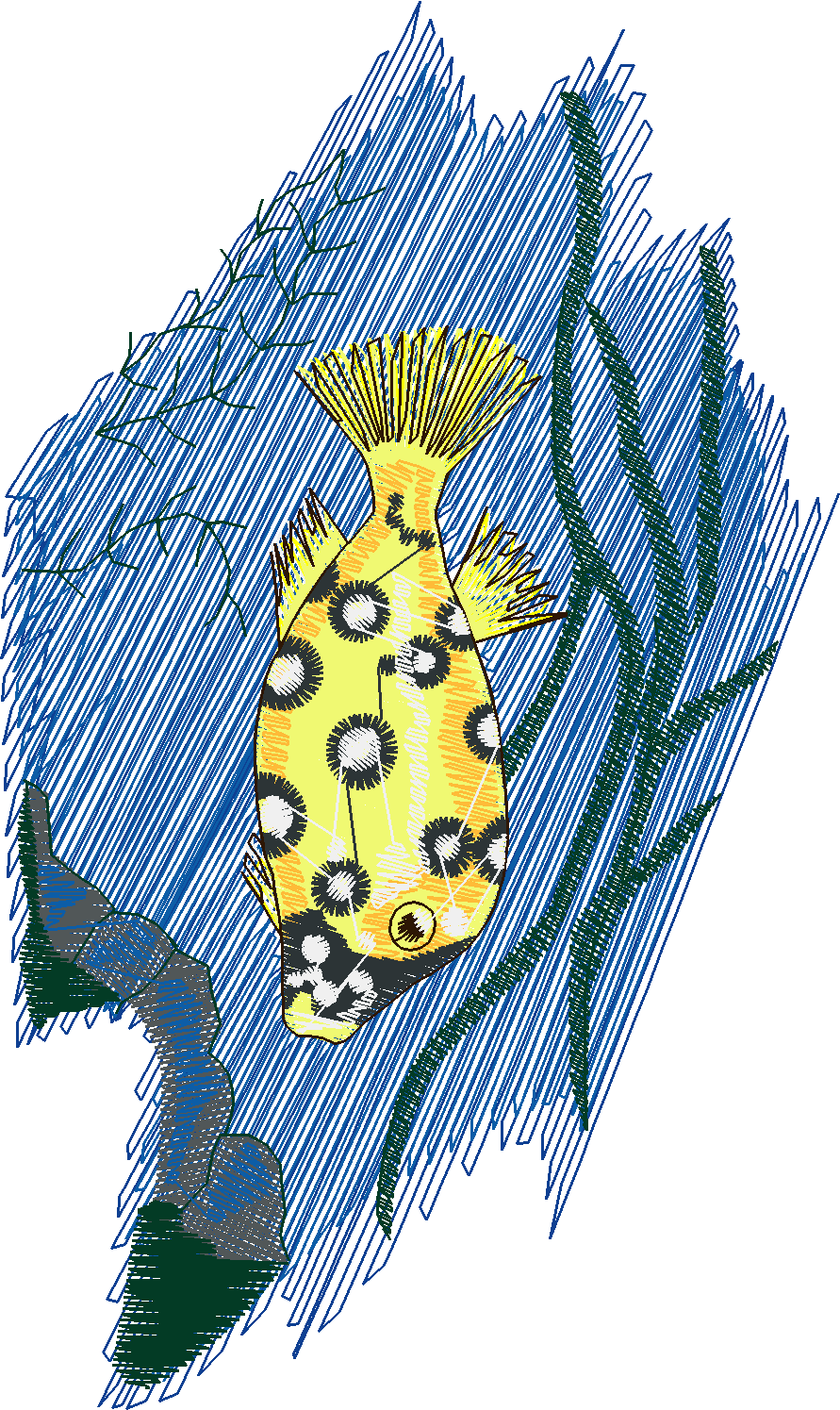 Fish 5  (10)