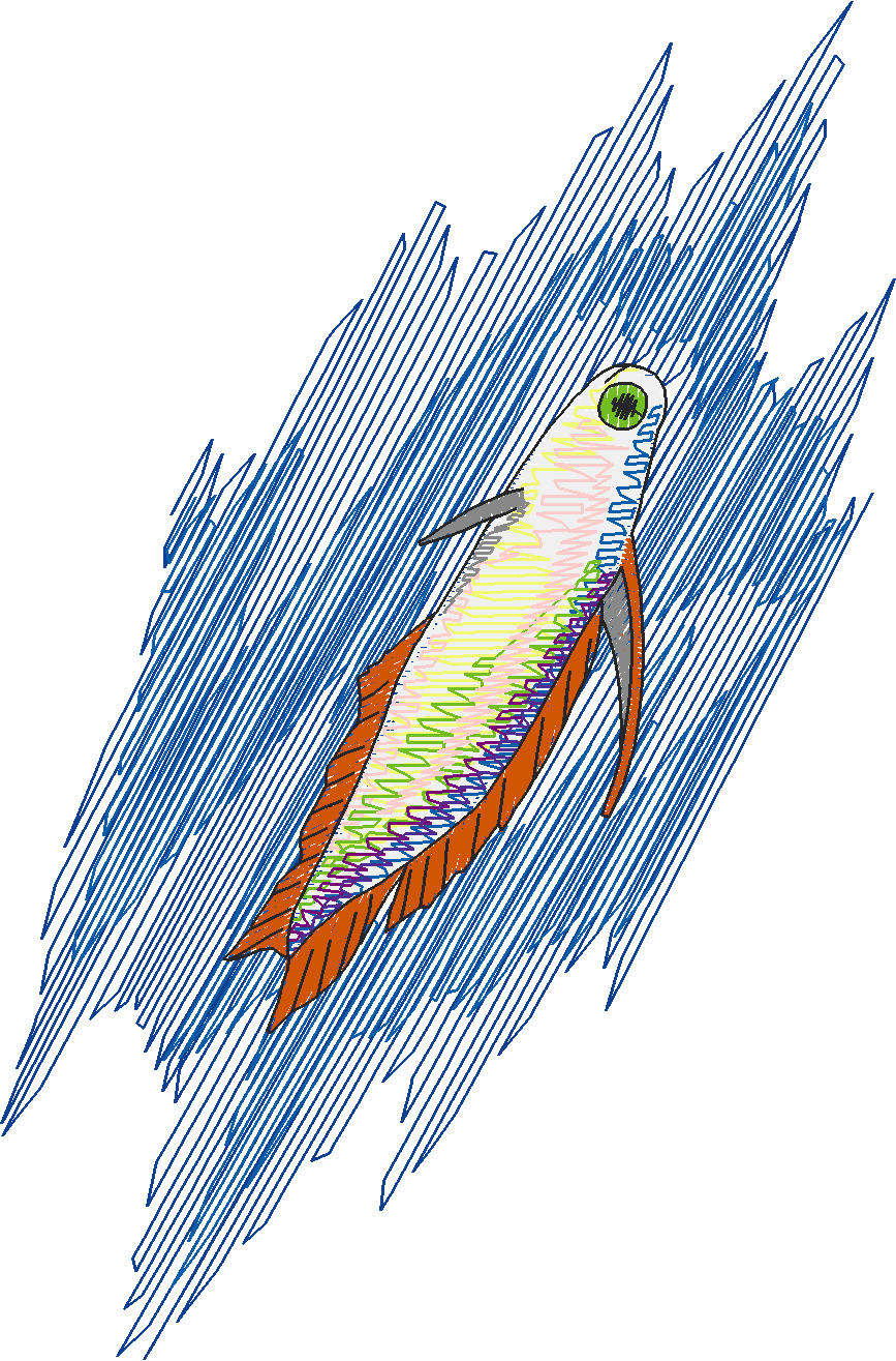 Fish 5  (18)