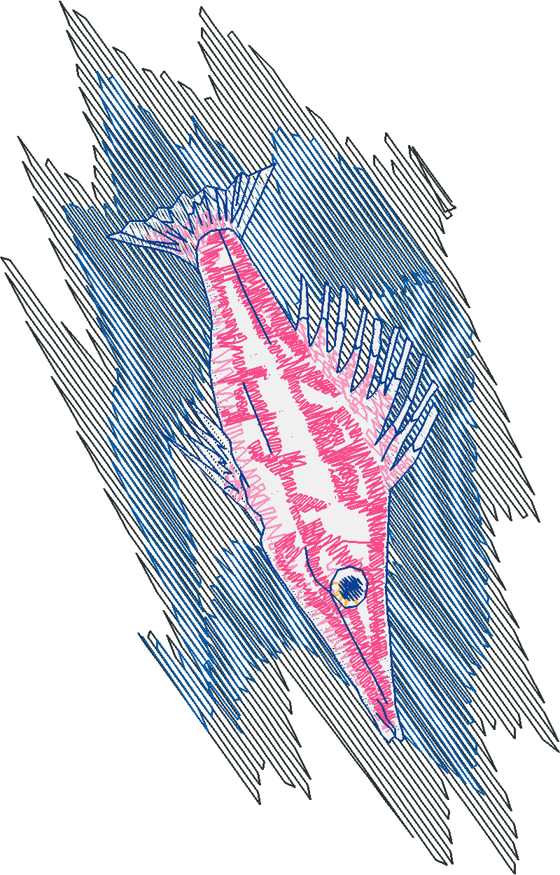 Fish 5  (19)