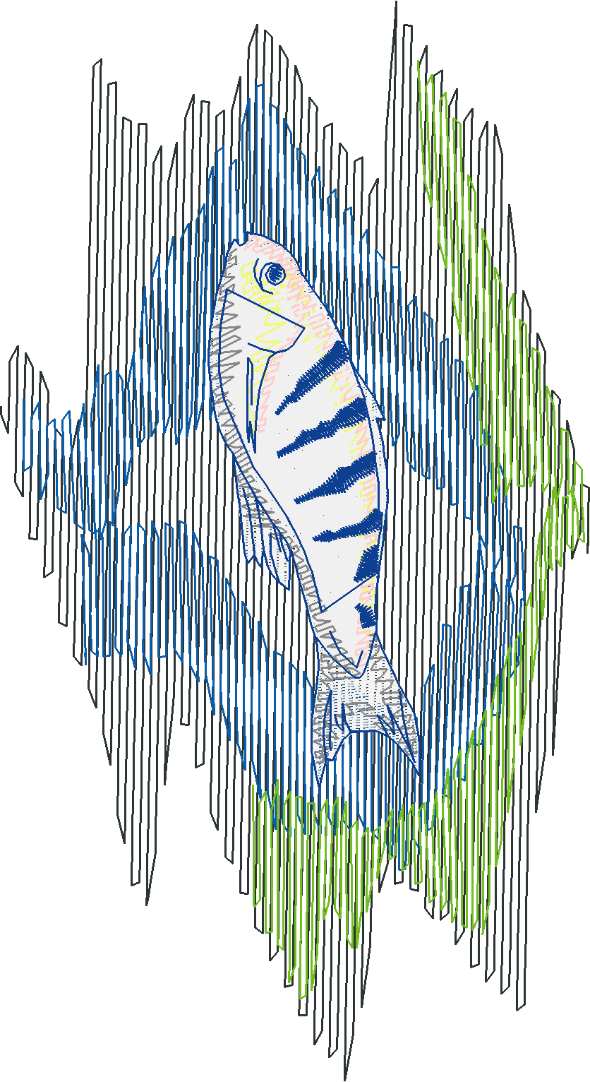 Fish 5  (4)