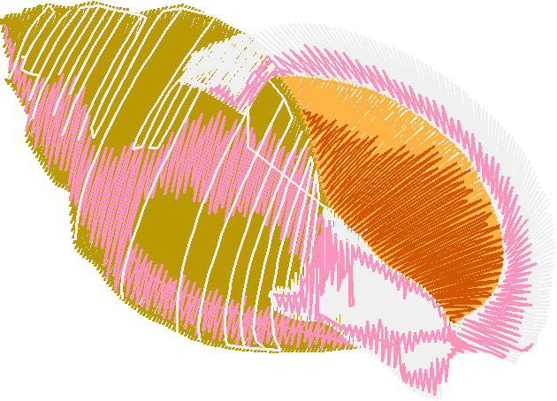 Fish 6  (21)