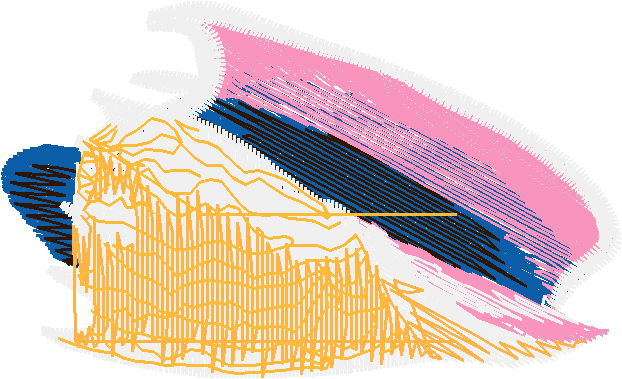 Fish 6  (22)