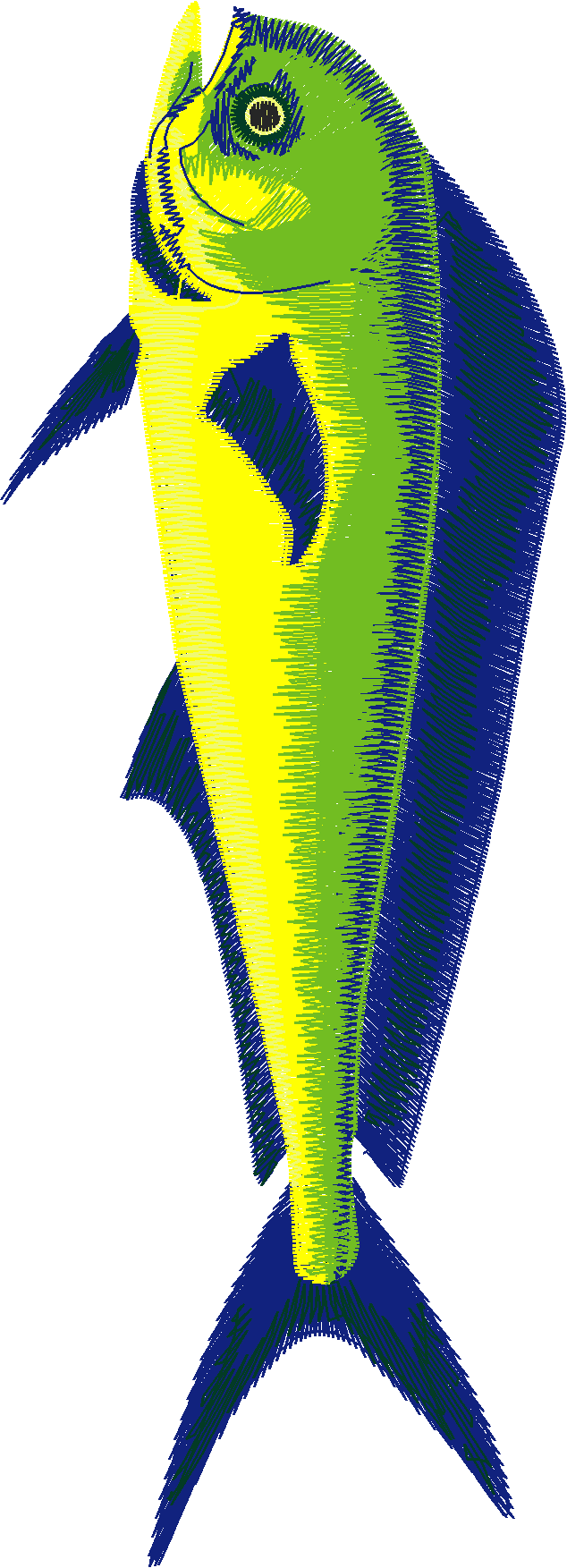 Fish 7  (4)