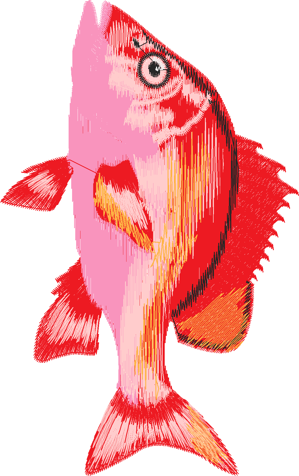 Fish 7  (8)
