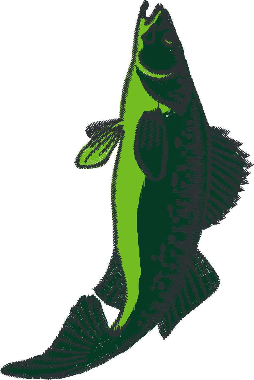 Fish 8  (16)