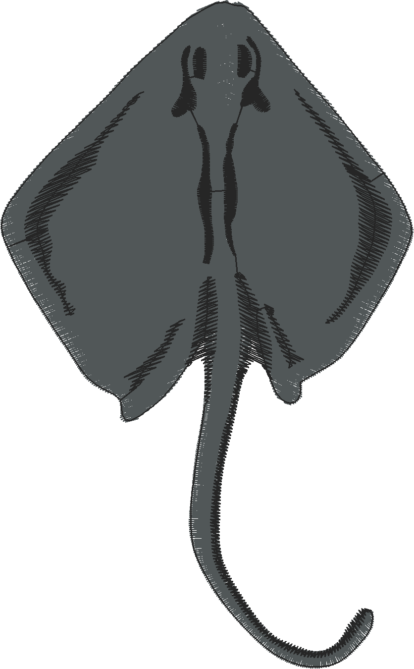 Fish 8  (20)
