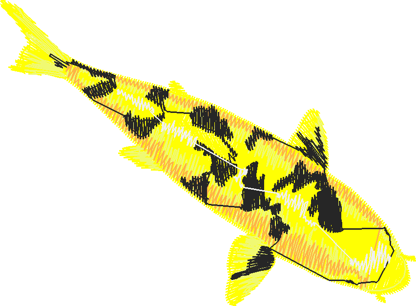 Fish 9  (15)