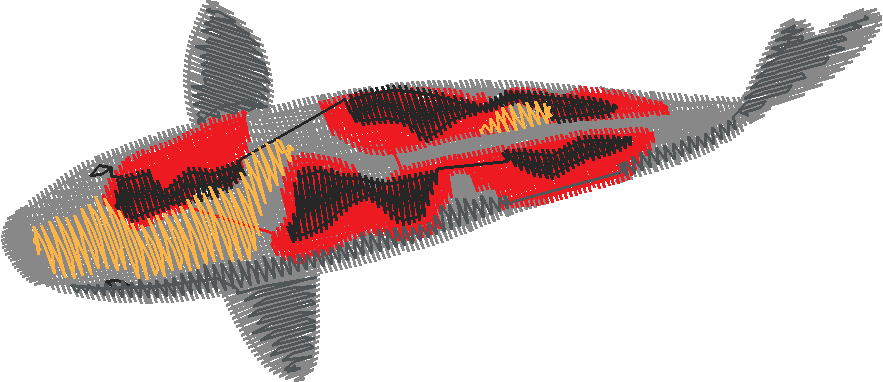 Fish 9  (16)