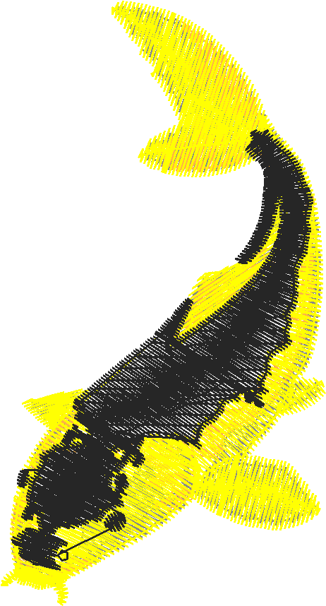 Fish 9  (20)