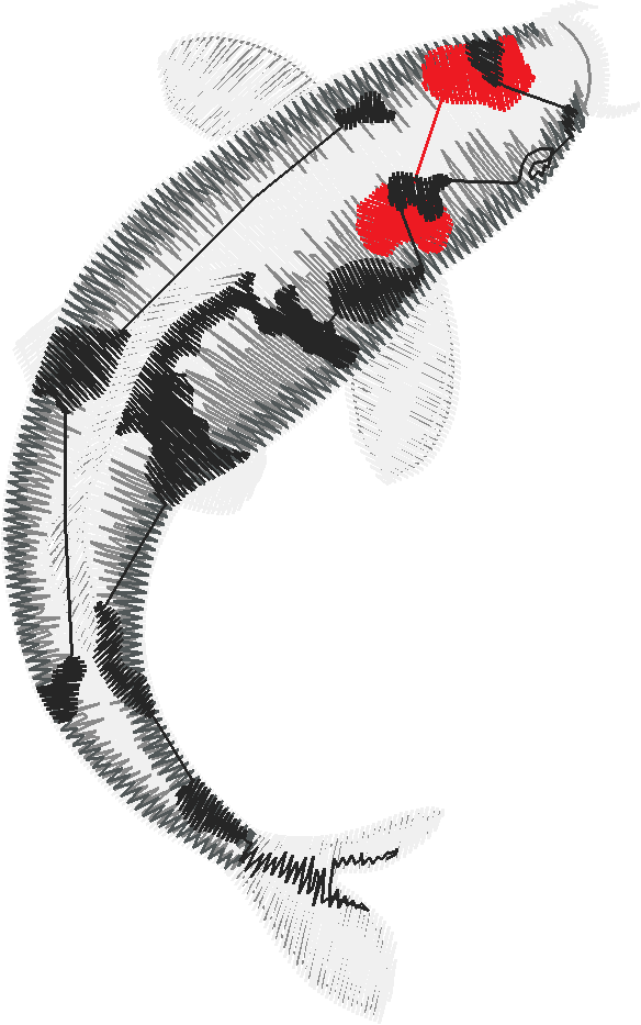 Fish 9  (6)