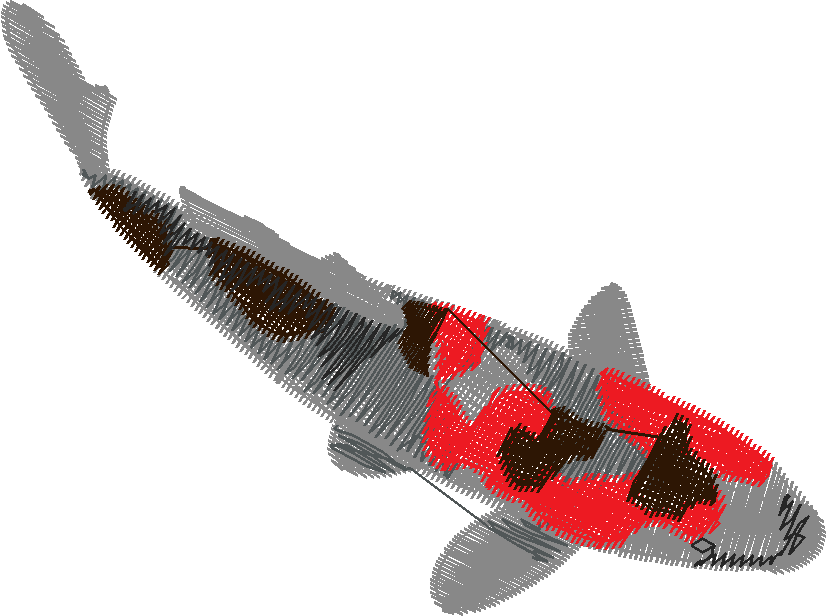 Fish 9  (8)