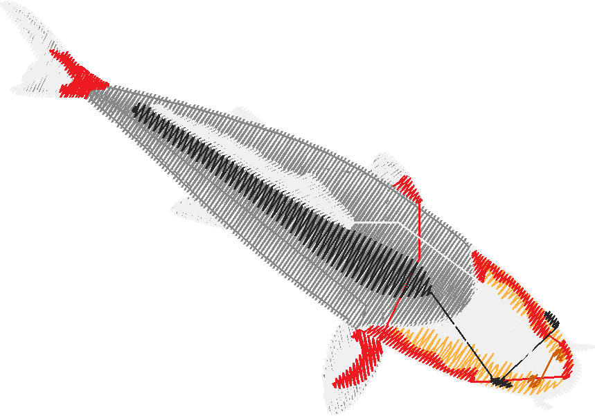 Fish 9  (9)