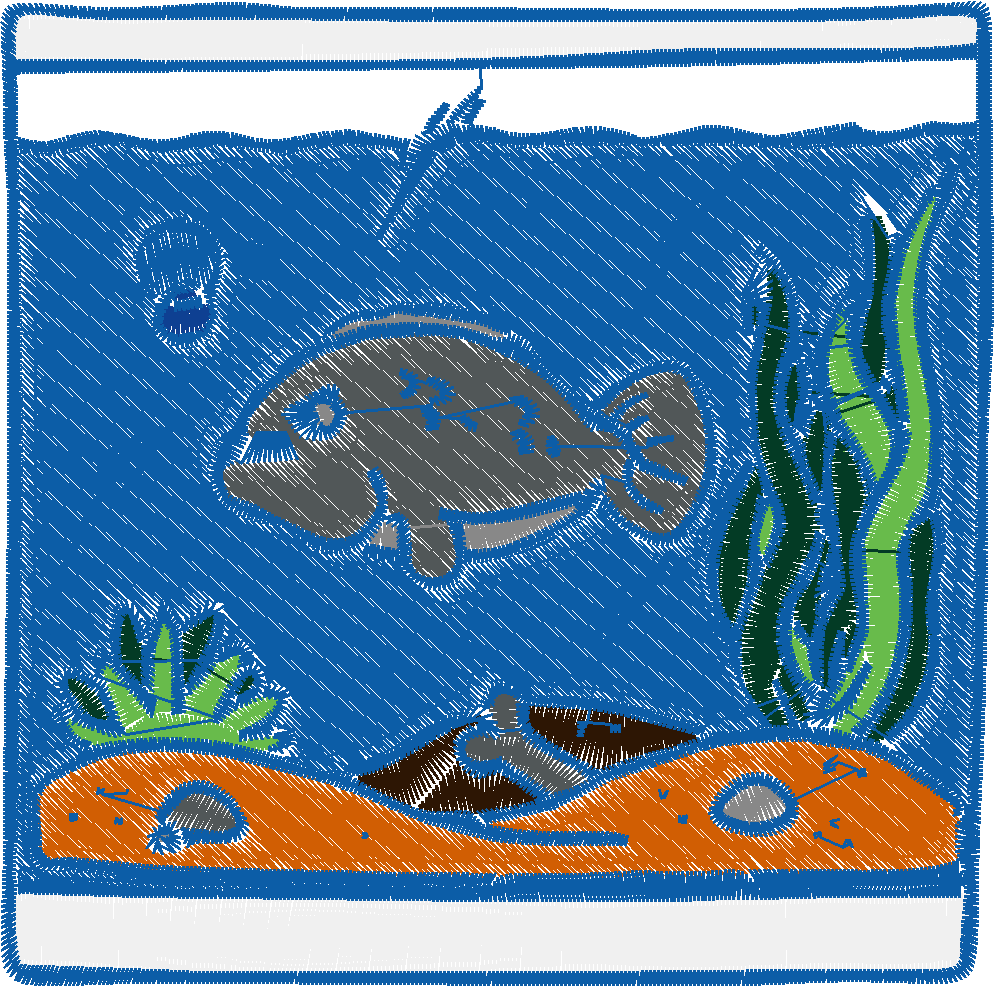 Fish Tanks