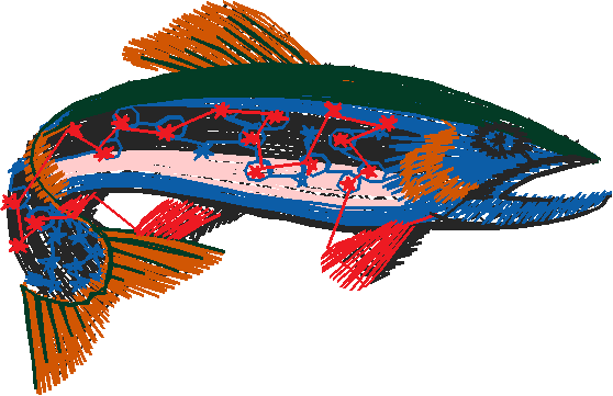 Fishing 1  (34)