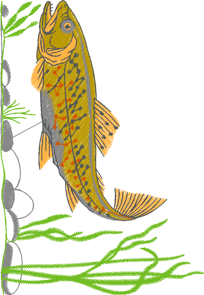 Fishing 1  (37)