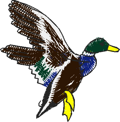 Fishing & Hunting 2 (10)