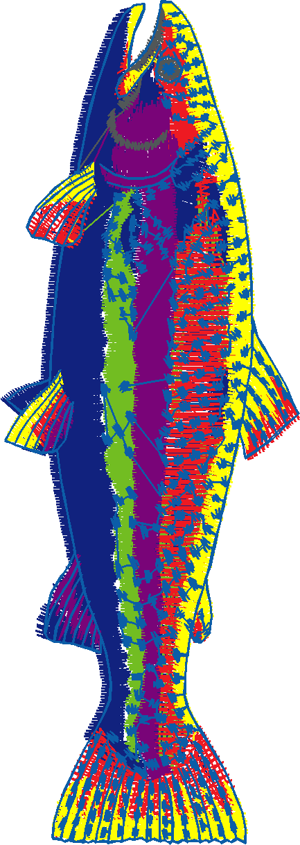 Fishy