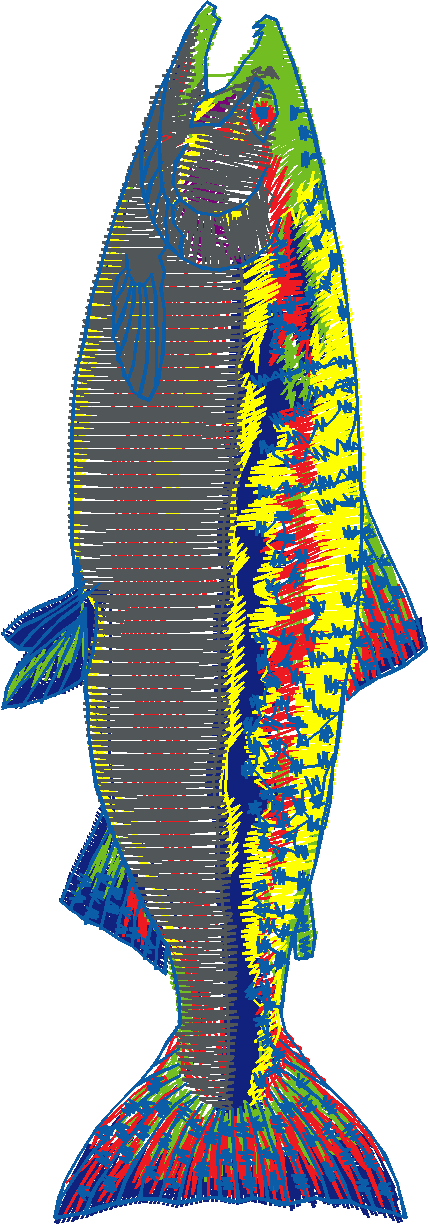 Fishy 1  (2)