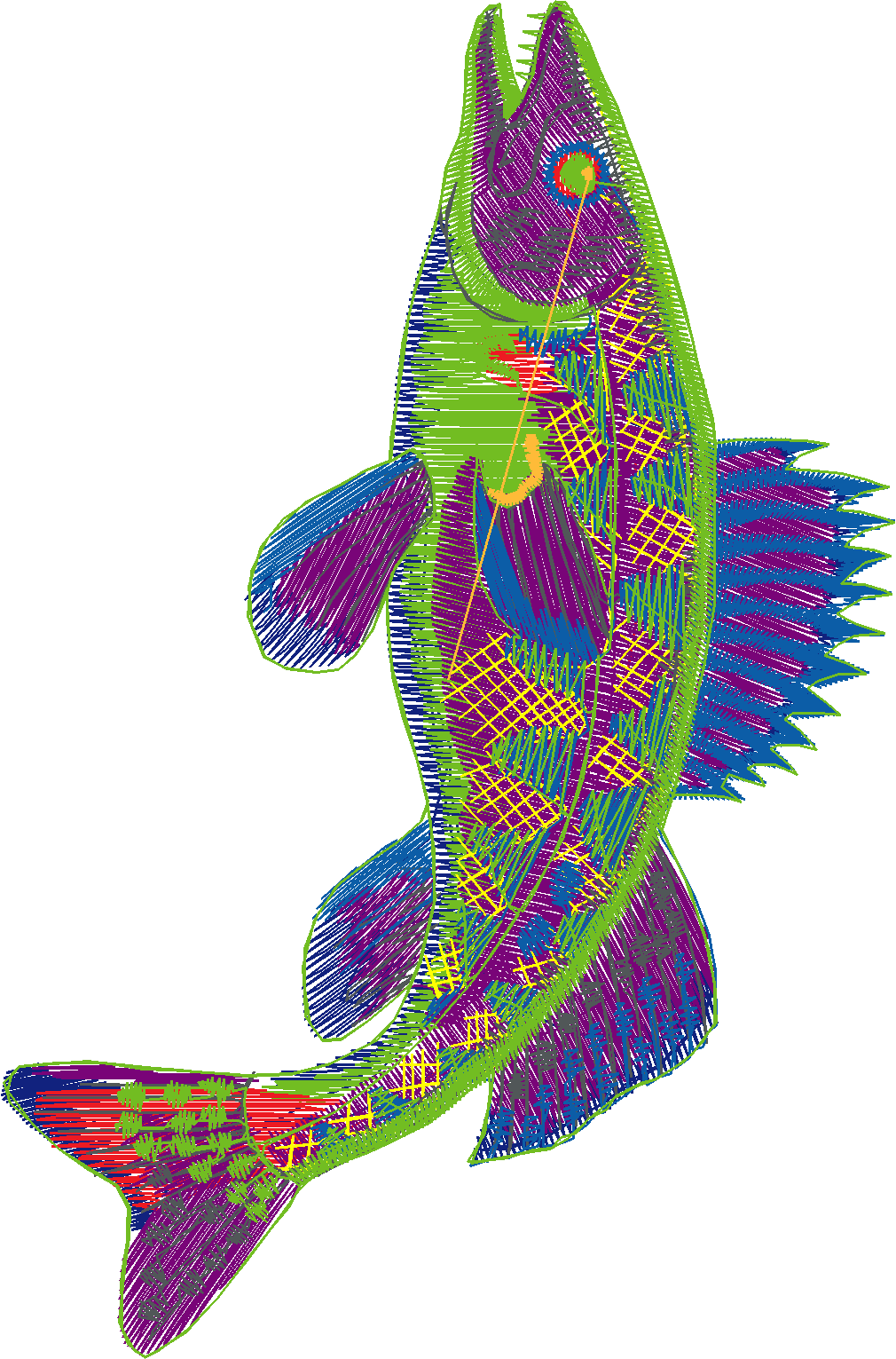 Fishy 1  (34)