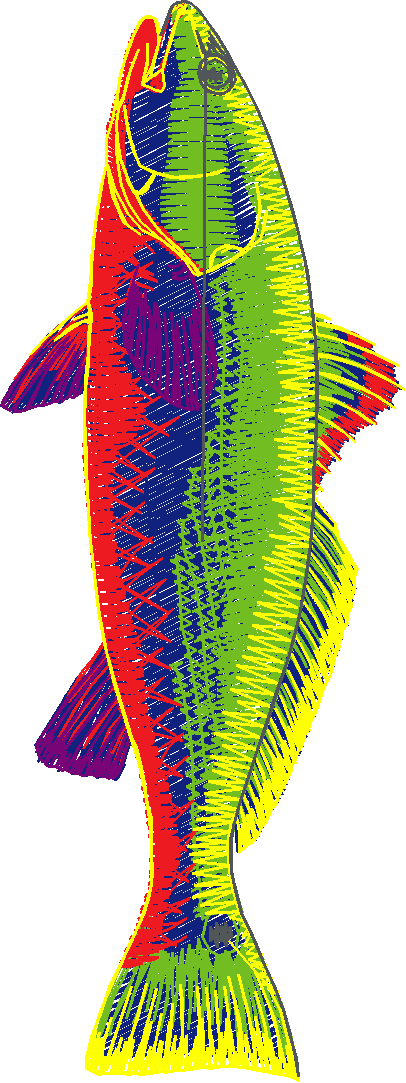 Fishy 1  (56)