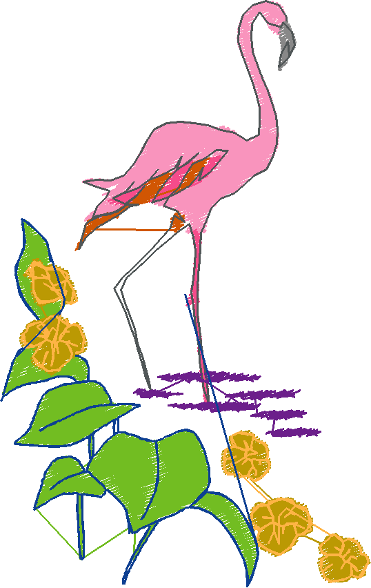Flamingos