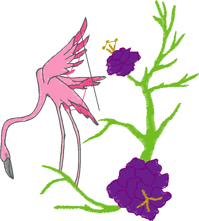 Flamingos  (2)