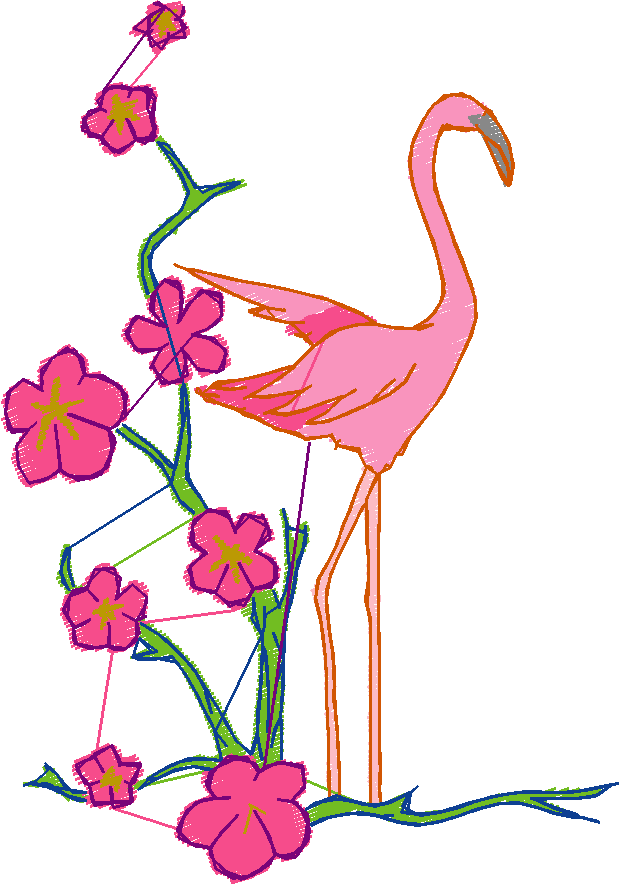 Flamingos  (8)