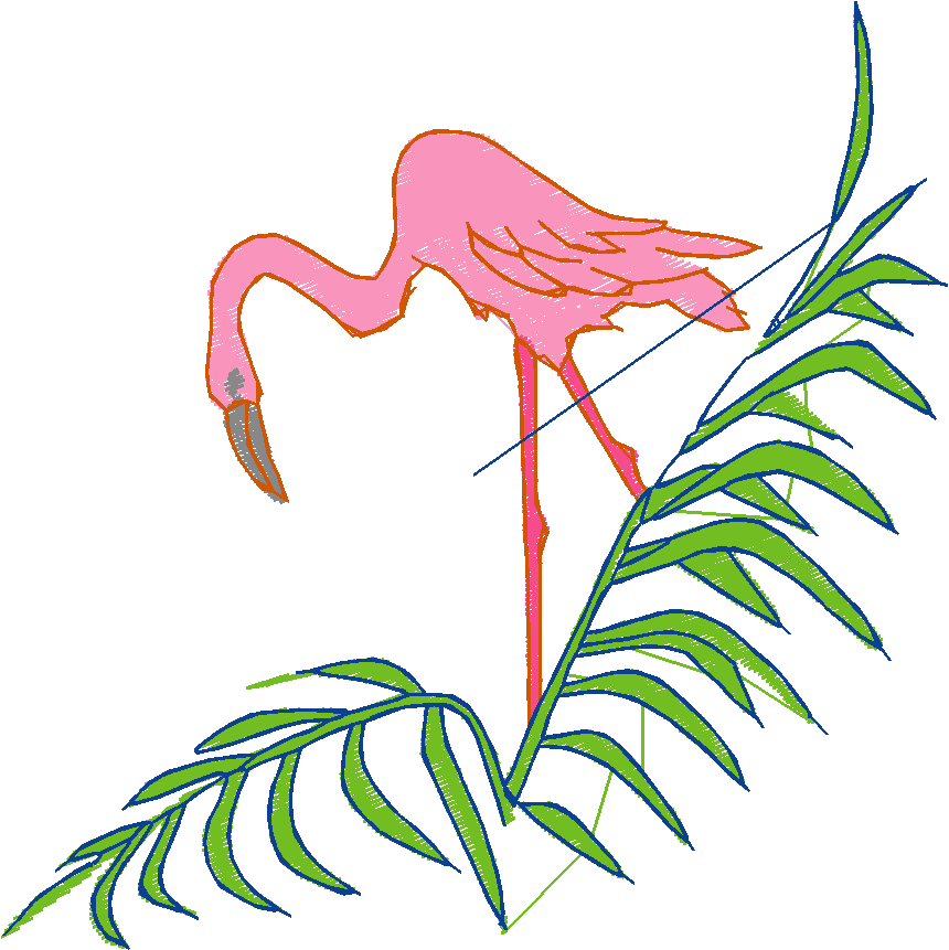 Flamingos  (9)