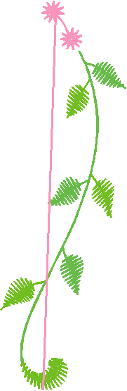 Floral 10  (12)