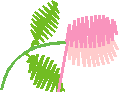 Floral 10  (60)