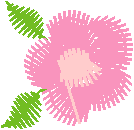 Floral 10  (66)