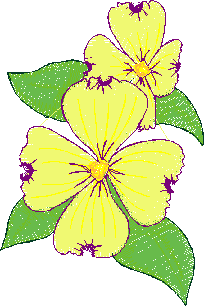 Floral 100 (5)