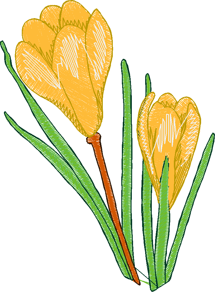 Floral 100 (7)