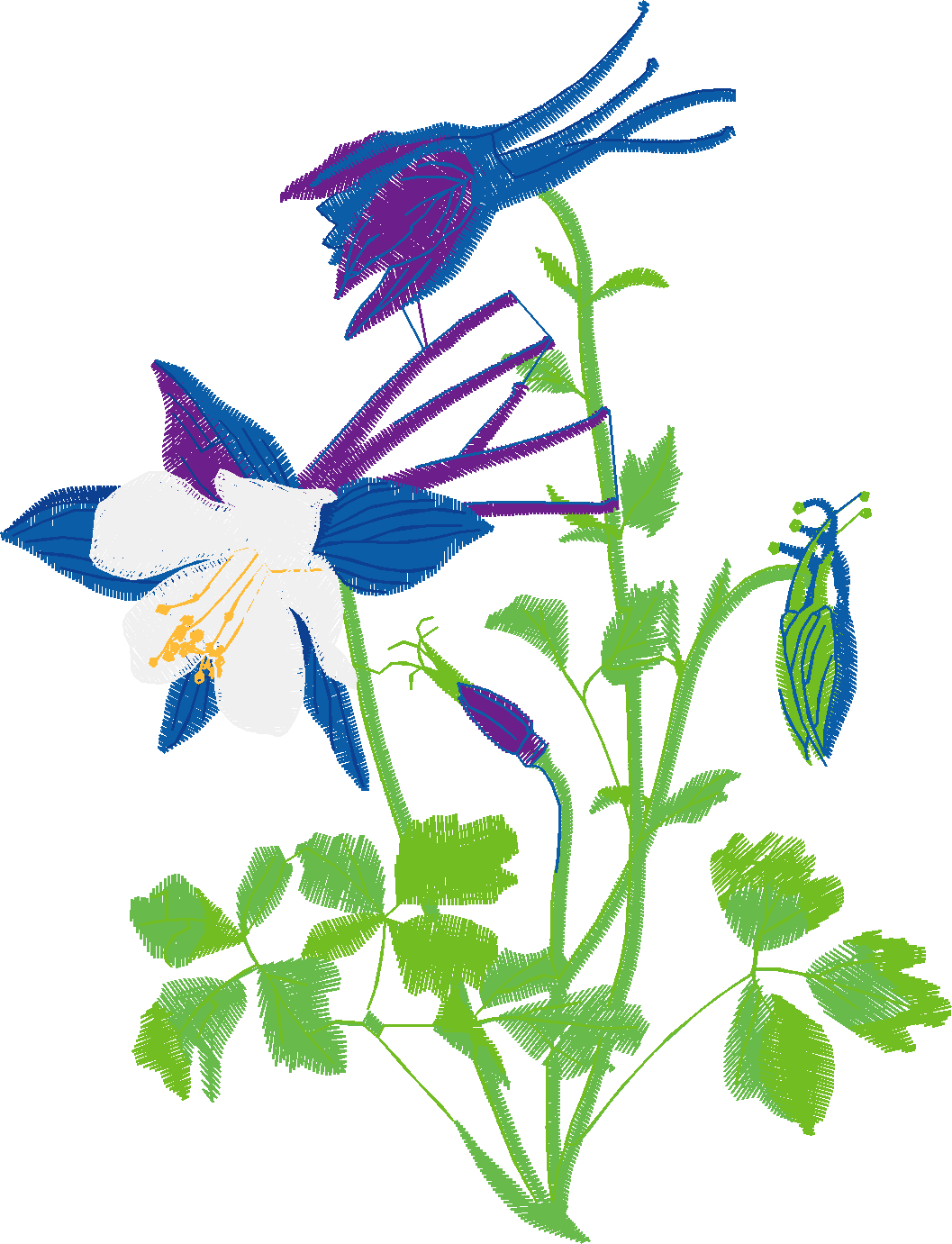 Floral 101  (11)