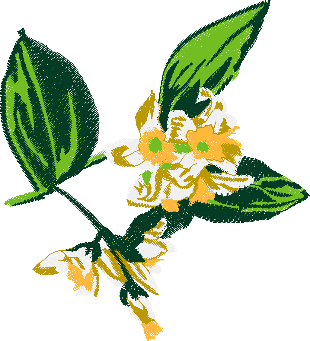 Floral 101  (16)