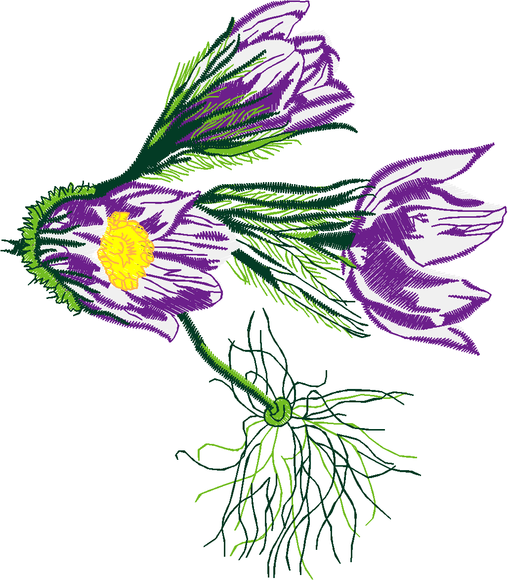 Floral 101  (18)