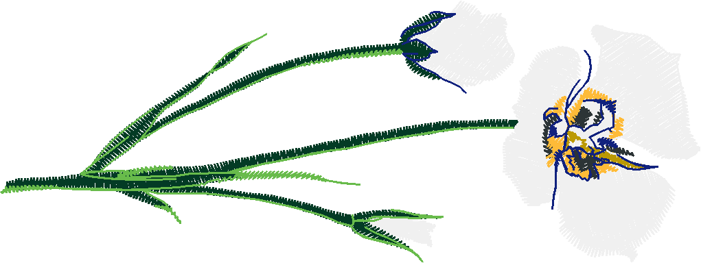 Floral 101  (2)